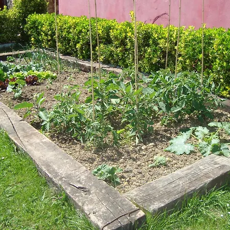 Rural El Angel De La Guarda 招待所 3*