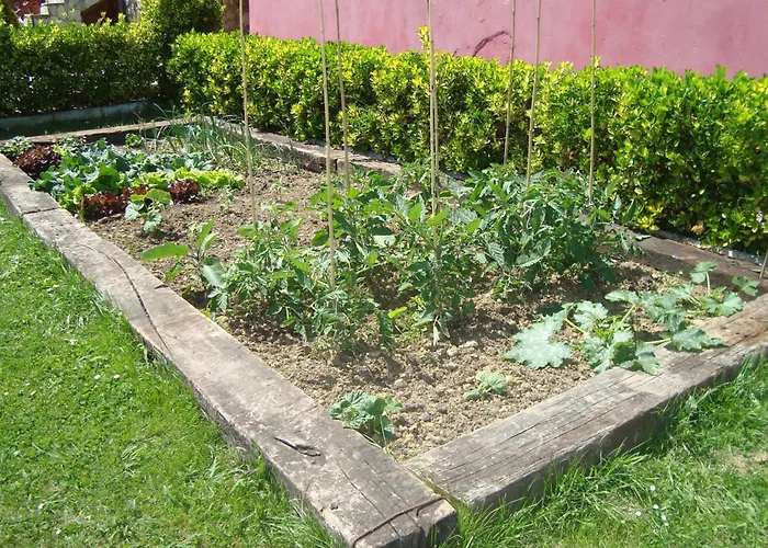 Rural El Angel De La Guarda Guest house 3*